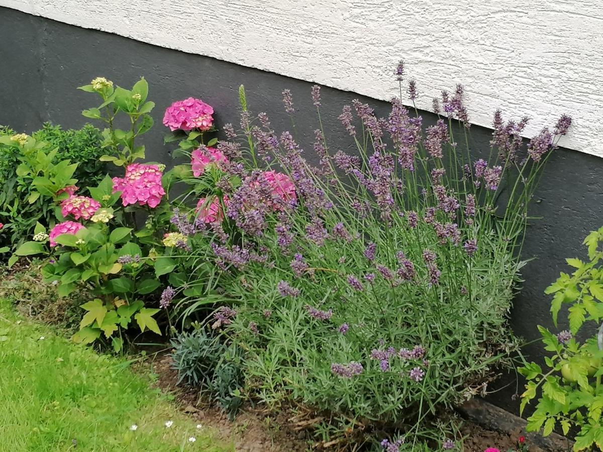 Ferienwohnung Einbeck Fewo B Nolte Bagian luar foto